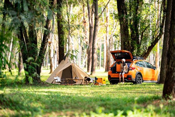 详细阅读:北京发放首批L3级高速公路自动驾驶车辆专用号牌 北京发放首批L3级高速公路自动驾驶车辆专用号牌