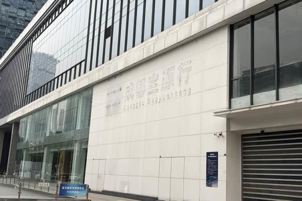 豪华品牌关店潮来袭：中国市场“失速”背后的行业大考