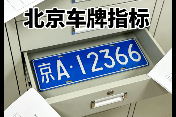 现在在北京租个车牌一个月得多少钱