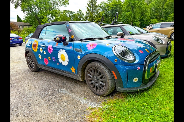 在北京出租牌照往往存在哪些风险