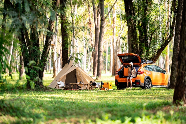详细阅读:北京京牌出租合同注意事项须知 北京京牌出租合同注意事项须知