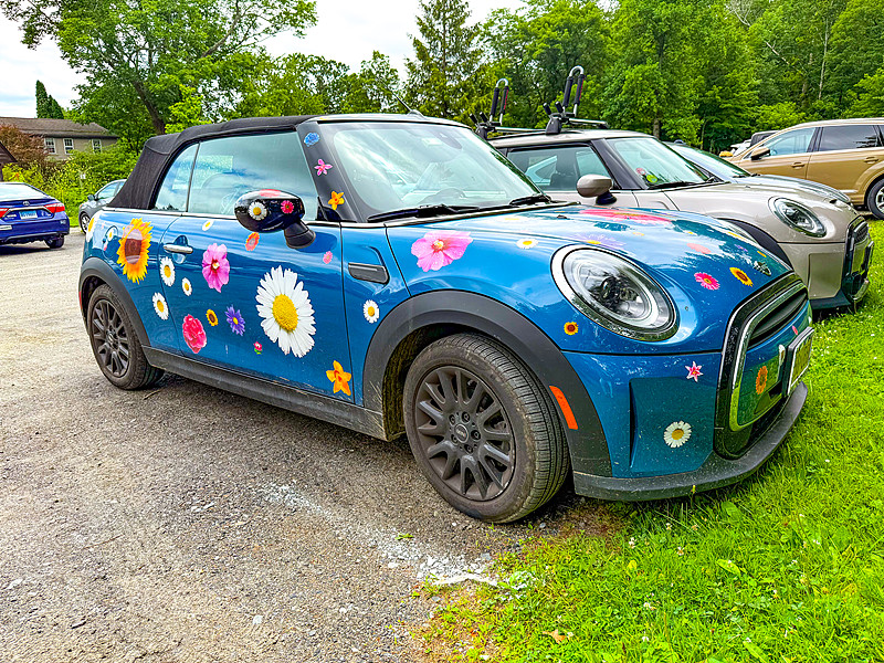 详细阅读:北京司空先生租用北京的牌照 北京司空先生租用北京的牌照